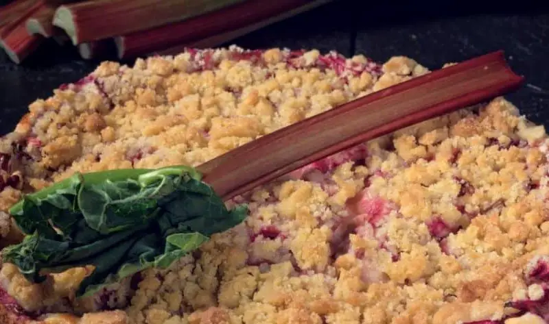 Hairy Bikers Rhubarb Crumble Recipe