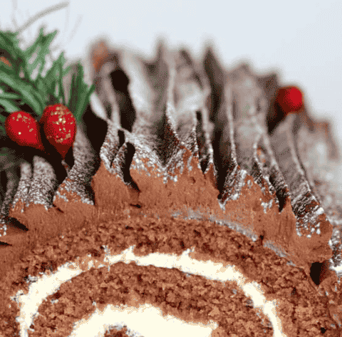 Mary Berry Yule Log