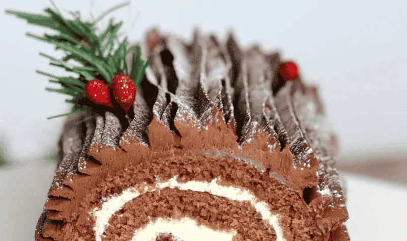 Mary Berry Yule Log