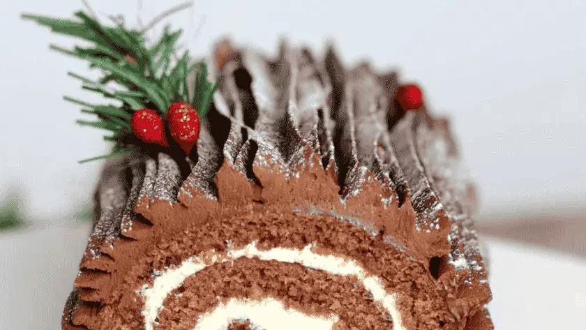 Mary Berry Yule Log