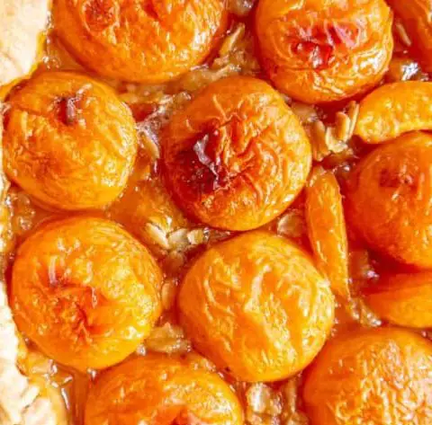 Mary Berry Apricot Tart