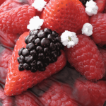 Mary Berry Summer Fruit Terrine